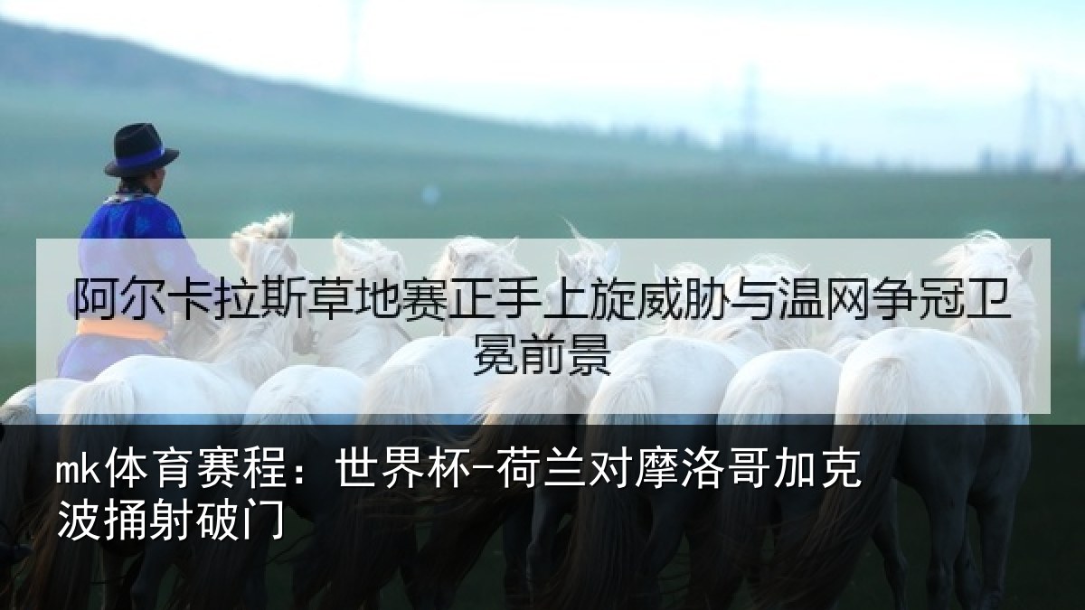 mk体育赛程：世界杯-荷兰对摩洛哥加克波捅射破门