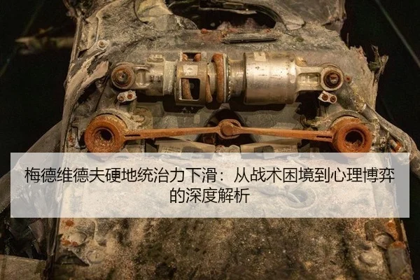 mei-de-wei-de-fu-ying-di-tong-zhi-li-xia-hua-cong-zhan-shu-kun-jing-dao-xin-li-bo-yi-de-shen-du-jie-xi-3-164.jpg