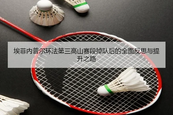 ai-fei-nei-pu-er-huan-fa-di-san-gao-shan-sai-duan-diao-dui-hou-de-quan-mian-fan-si-yu-ti-sheng-zhi-lu-2-333.jpg