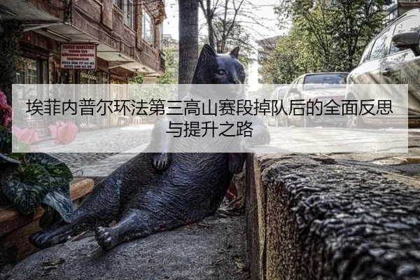 ai-fei-nei-pu-er-huan-fa-di-san-gao-shan-sai-duan-diao-dui-hou-de-quan-mian-fan-si-yu-ti-sheng-zhi-lu-3-221.jpg